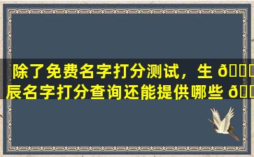 除了免费名字打分测试，生 🐒 辰名字打分查询还能提供哪些 🐅 服务